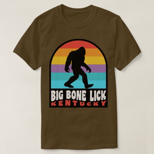 Big Bone Lick Staat Park Kentucky Bison T-Shirt (Design vorne)