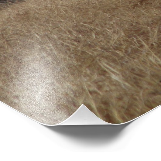 Big Boy 4014 Fotodruck (Ecke)