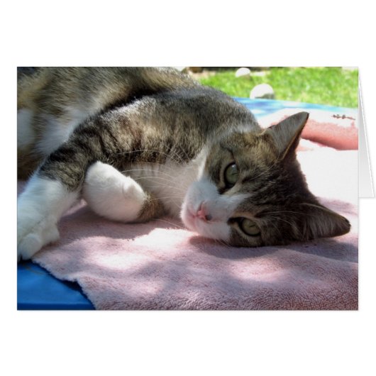 Big Boy auf der leblosen Grußkarte (Vorderseite (Horizontal))