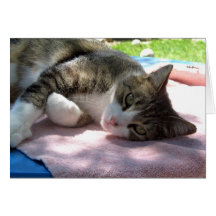 Big Boy auf Tabelle I Liebe You Card