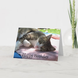Big Boy Cat auf Table Birthday Card Karte