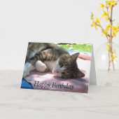 Big Boy Cat auf Table Birthday Card Karte (Gelbe Blume)