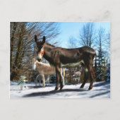 "Big Boy & Company" Postkarte (Vorderseite)