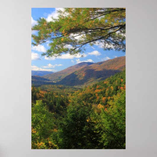 Big Branch Wilderness Vermont Poster (Vorne)