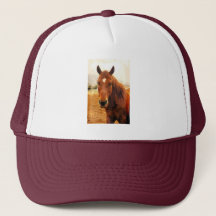 Big Braxton Trucker Hat