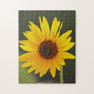 Big Bright Sonnenblumen Blume Naturpuzzle Puzzle
