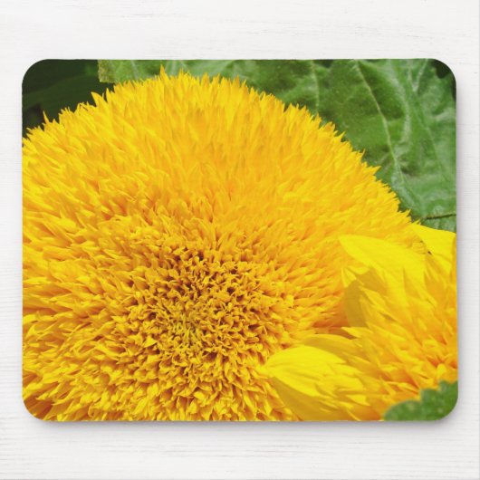 Big Bright Yellow Summer Sunblumenmousepads Mousepad (Vorne)