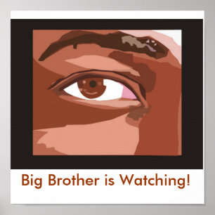Big Brother guckt! Poster