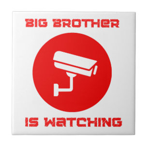 Big Brother is Watching  1984 ingsoc Fliese