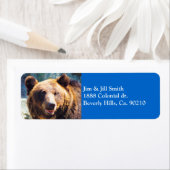 Big Brown Bear (Insitu)