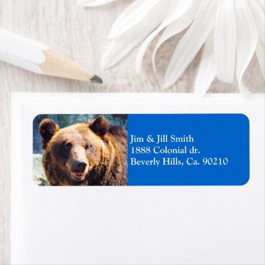 Big Brown Bear (Insitu)