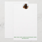 Big Brown Bear Briefpapier (Vorne/Hinten)