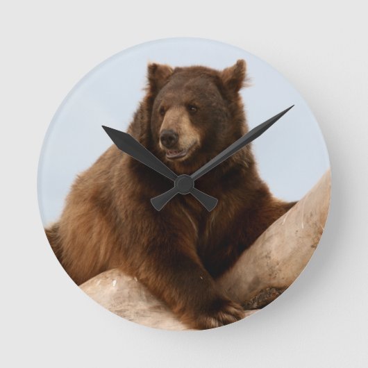 Big Brown Bear Runde Wanduhr (Vorderseite)