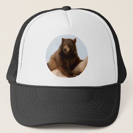 Big Brown Bear Truckerkappe (Vorderseite)