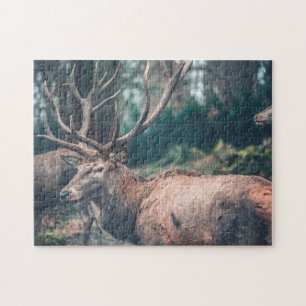 Big Brown Buck Deal mit großen Antlern Puzzle