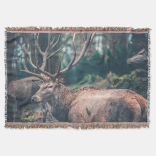 Big Brown Buck Deer mit großen Antlern Decke