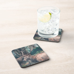 Big Brown Buck Deer mit großen Antlern Getränkeuntersetzer