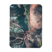 Big Brown Buck Deer mit großen Antlern Magnet (Vertikal)