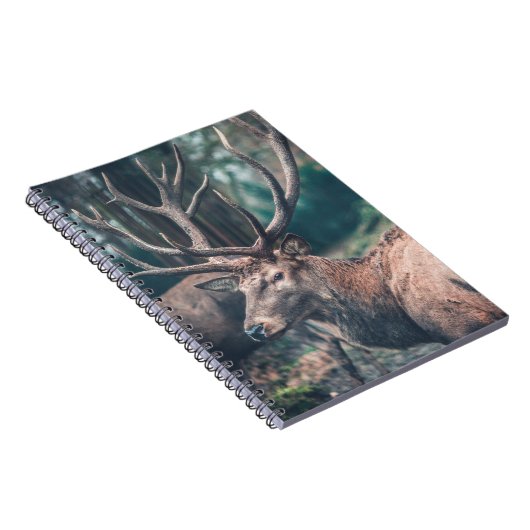 Big Brown Buck Deer mit großen Antlern Notizblock (Rechte Seite)