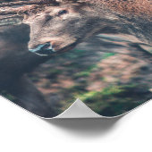 Big Brown Buck Deer mit großen Antlern Poster (Ecke)