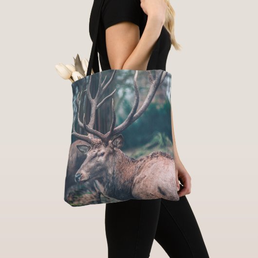 Big Brown Buck Deer mit großen Antlern Tasche (Von Nahem)