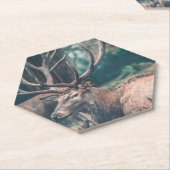 Big Brown Buck Deer mit großen Antlern Untersetzer (angewinkelt)