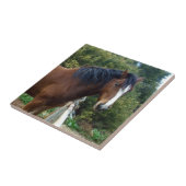 Big Brown Clydesdale Pferd, Fliese (Seite)