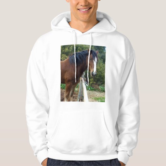 Big Brown Clydesdale Pferd, Hoodie (Vorderseite)