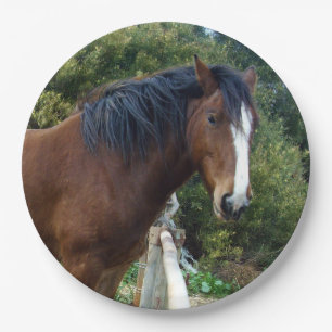 Big Brown Clydesdale Pferd, Pappteller