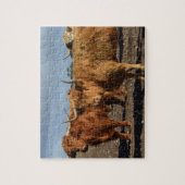 Big Brown Highland Cows, Jigsaw Puzzle (Vertikal)