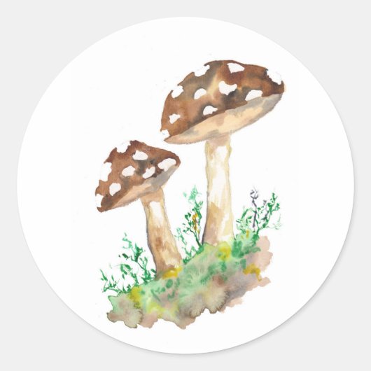 Big Brown Mushrooms Runder Aufkleber (Vorderseite)