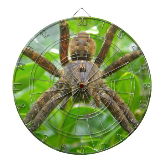 Big Brown Spider Dartscheibe (vorne)