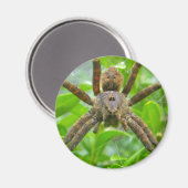 Big Brown Spider Magnet (Vorderseite/Rückseite)