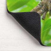 Big Brown Spider Mousepad (Ecke)