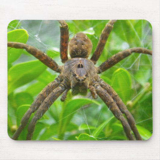 Big Brown Spider Mousepad (Vorne)