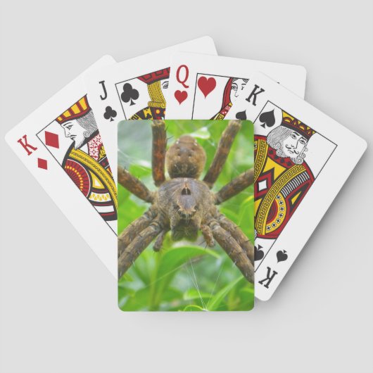 Big Brown Spider Spielkarten (Rückseite)