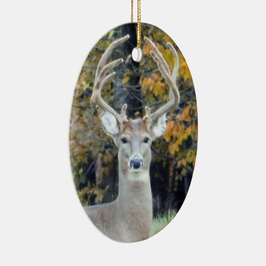 Big Buck Antlers Ornament (Rechts)