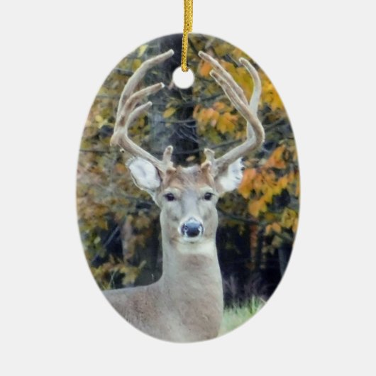 Big Buck Antlers Ornament (Vorne)
