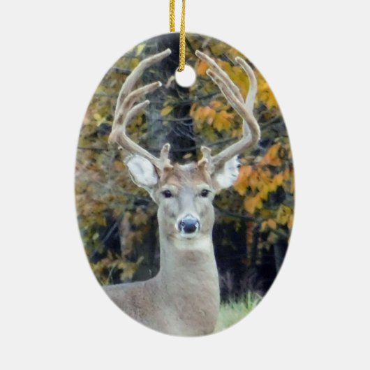Big Buck Antlers Ornament (Hinten)