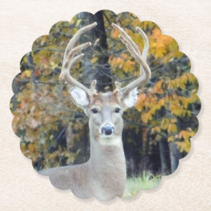 Big Buck Antlers Untersetzer
