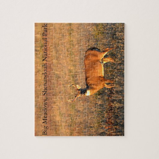 Big Buck, Big Meadows, Shenandoah National Park Puzzle (Vertikal)