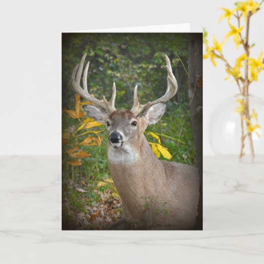 Big Buck Birthday Karte (Gelbe Blume)