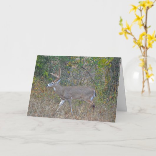 Big Buck Deer in Texas Art Note Card Karte (Gelbe Blume)