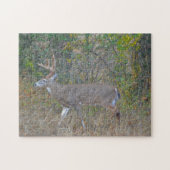 Big Buck Deer in Texas Wild Animal Puzzle (Horizontal)
