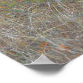 Big Buck Deer in Texas zu Fuß Poster (Ecke)