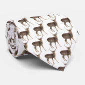 Big Buck Deer Krawatte (Gerollt)