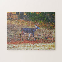 Big Buck Deer Walking in einem Puzzle der Weiden