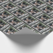 Big Buck Deh im Fenster Geschenkpapier (Ecke)