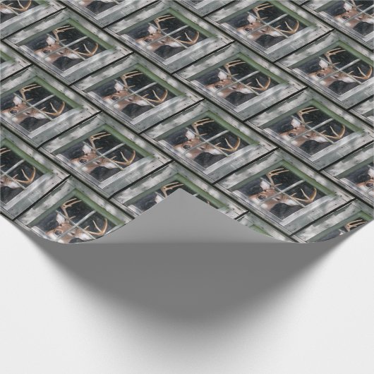 Big Buck Deh im Fenster Geschenkpapier (Ecke)