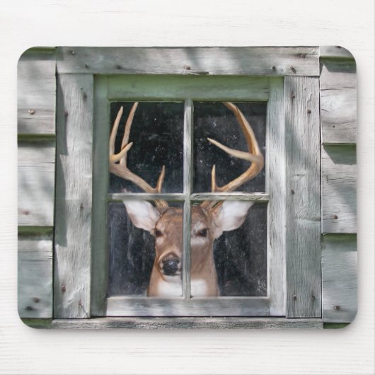 Big Buck im Kabinenfenster Mousepad (Vorne)